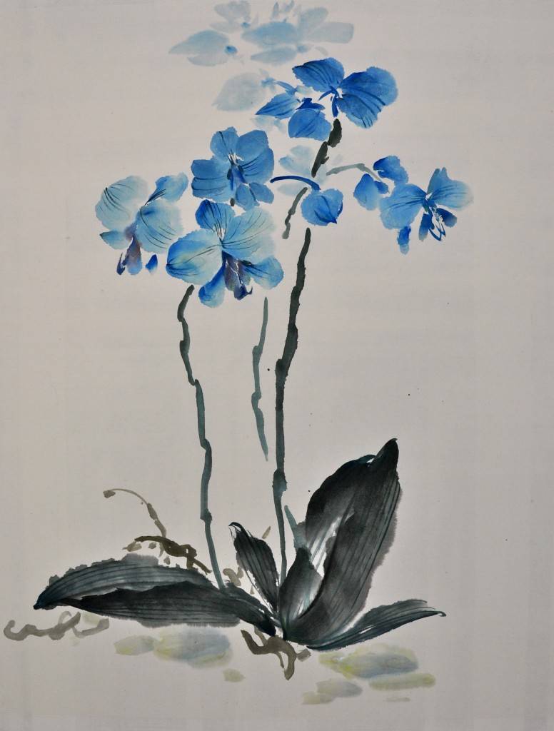 Blue orchid 盆蘭